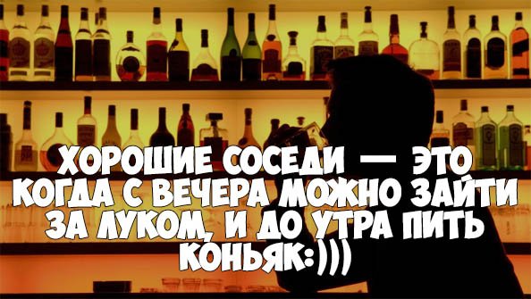 Смешные высказывания про выпивку
