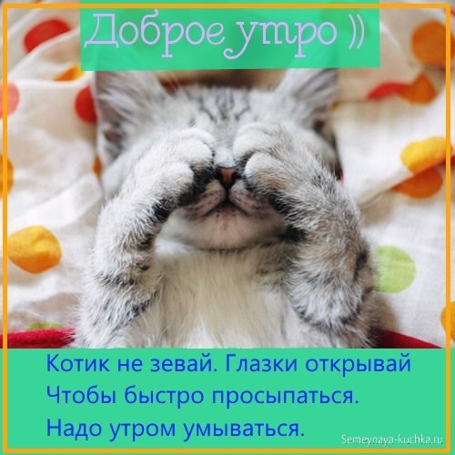 Доброе утро котик мой
