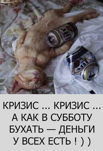 Прикол про выпивку в субботу
