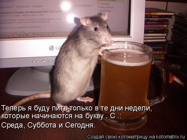 Смешные картинки про среду