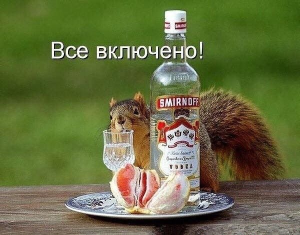 Белка с бутылкой