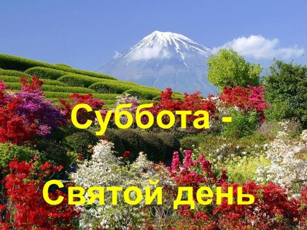 Благословенной субботы открытки