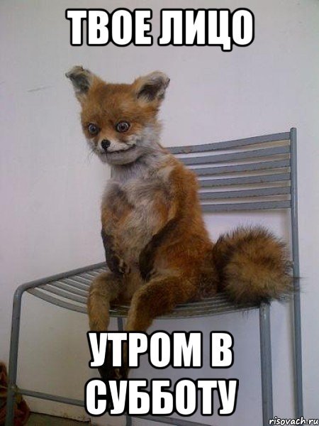 Мемы про утро субботы