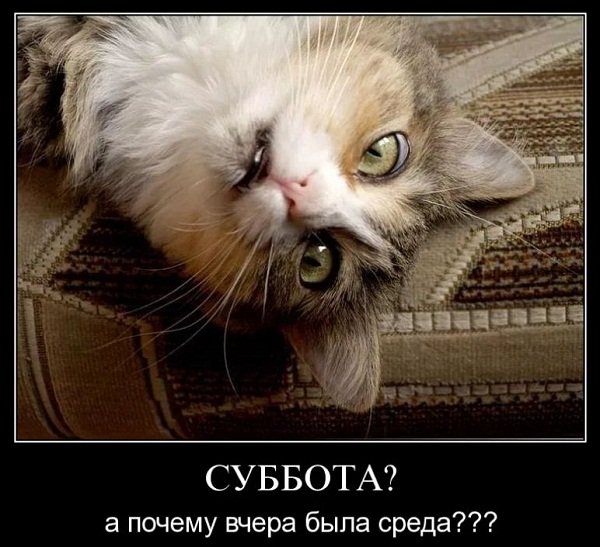 Суббота картинки прикольные