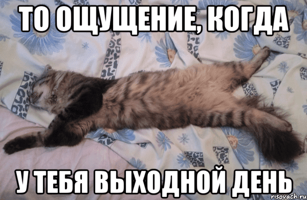 Вот и суббота пришла