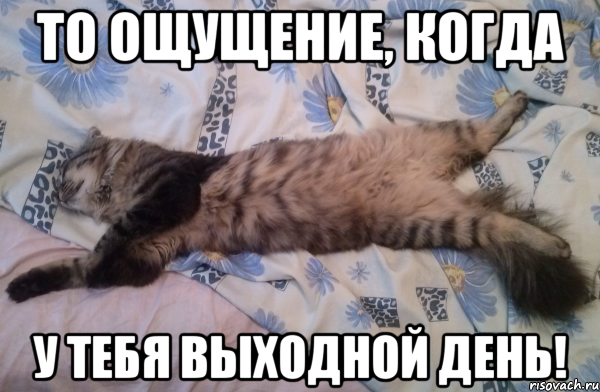 Про выходные смешные