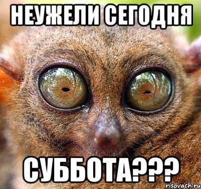 Неужели суббота