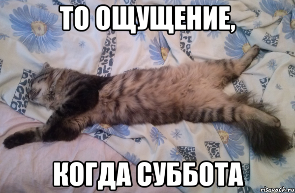 Мемы про субботу