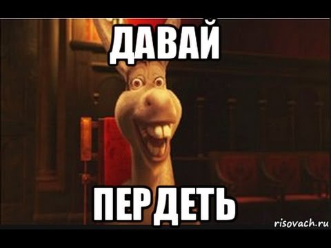 Влад осёл