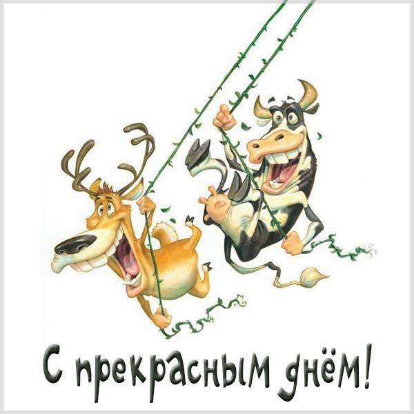 Хорошего дня и отличного настроения мужчине
