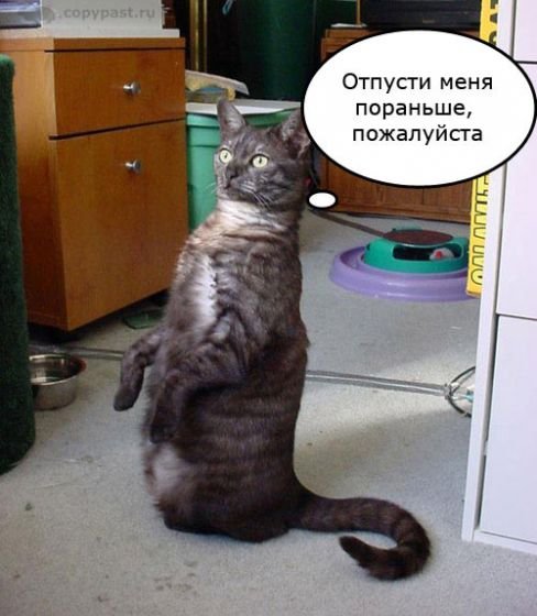 Рабочая суббота фото