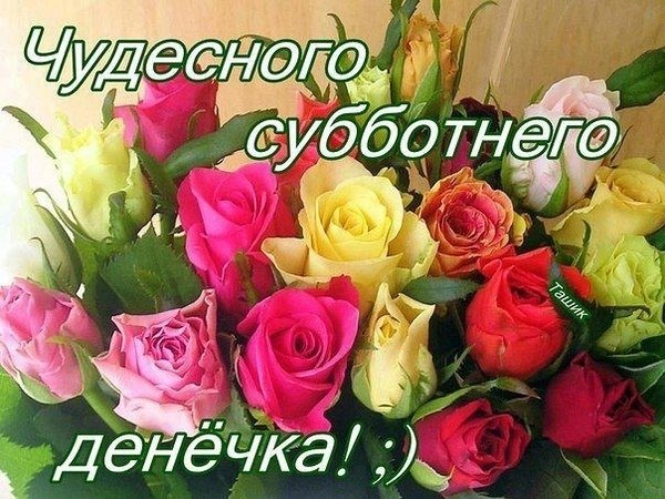 Отличного субботнего денечка
