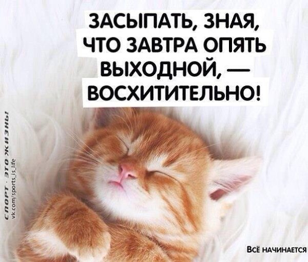 Засыпать зная что завтра выходной божественно