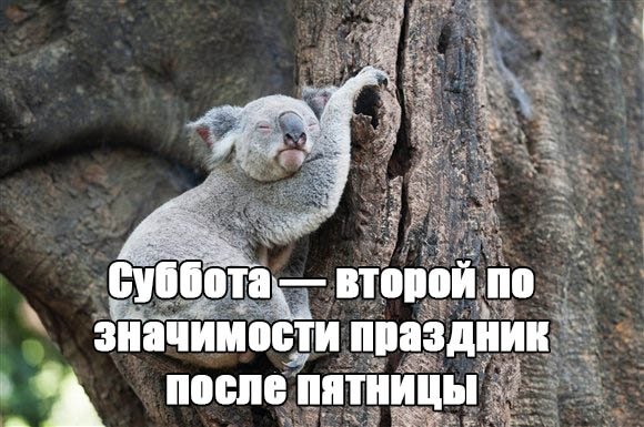 Утро после пятницы