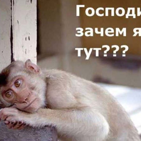 Прикольное фото когда работаешь в субботу