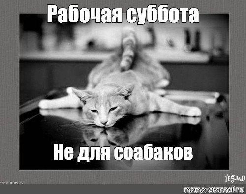 Рабочая суббота