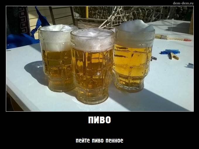 Пей пиво холодное. Пей пиво пенное. Может по пивку. Что попить с пивом. Будем пить пиво.