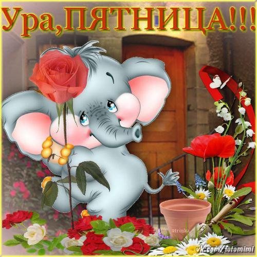 Открытка с добрым утром ура пятница
