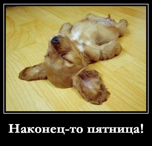 Наконец то пятница