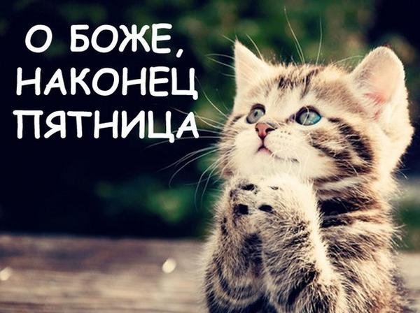 Наконец то пятница