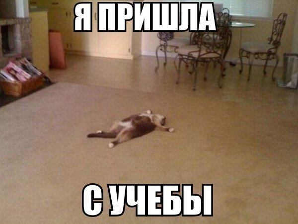 Наконец пятница