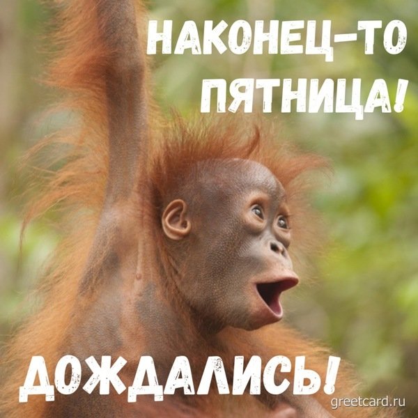 Наконец то пятница