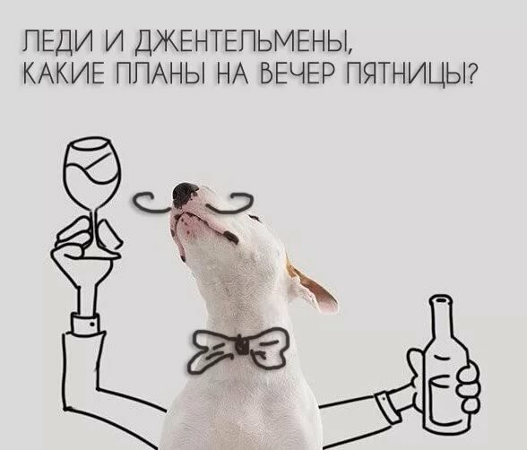Вечер пятницы