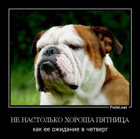 Xthdthu-это маленькая пятница