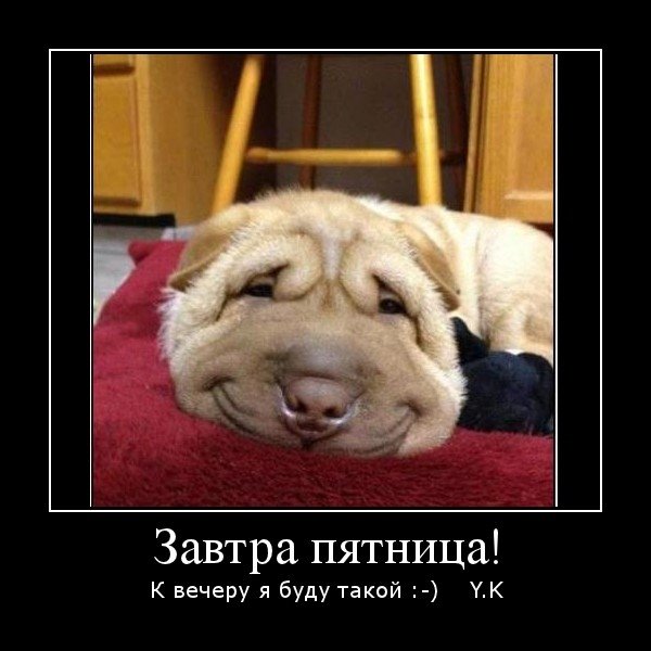 Завтра пятница приколы