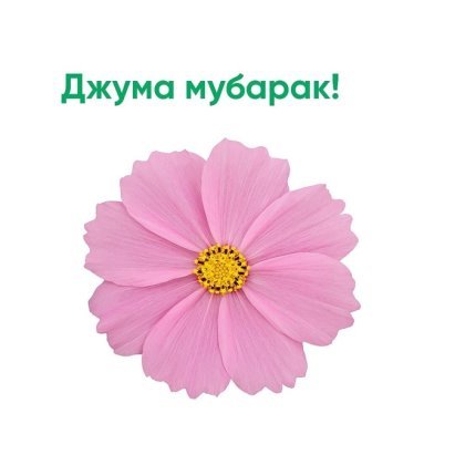 Пятница мусульманский день