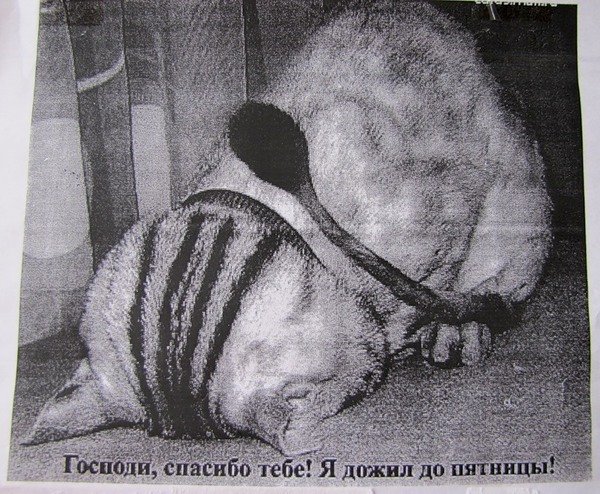 Спасибо я дожил до пятницы