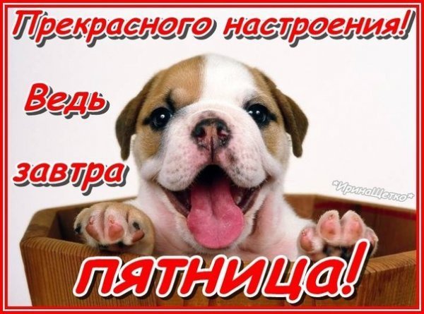 Завтра пятница