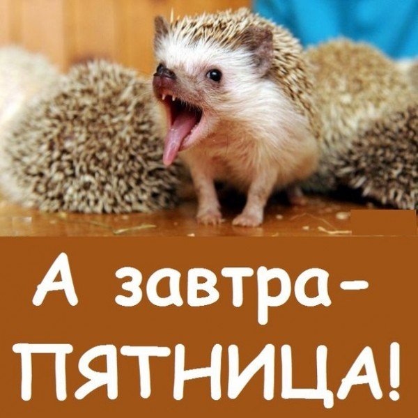 Завтра пятница