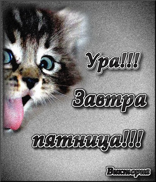 Открытки завтра пятница