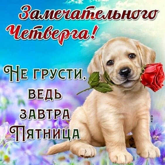 Поздравление с четвергом