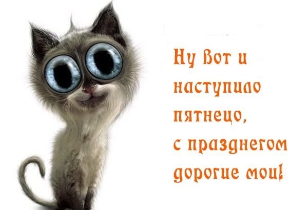 Доброе утро пятница прикол