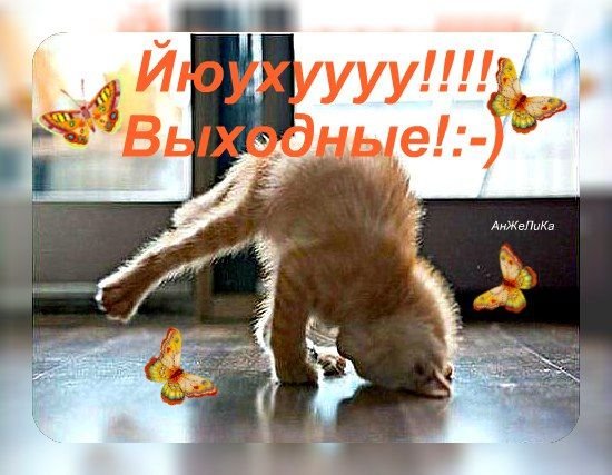 Милая открытка впереди выходные
