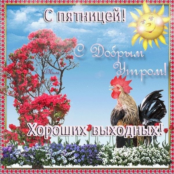 Поздравление с добрым утром пятница