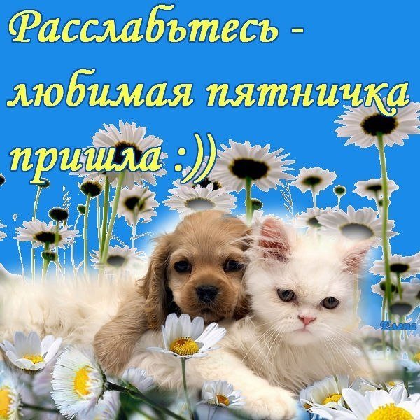 Прекрасной солнечной пятницы