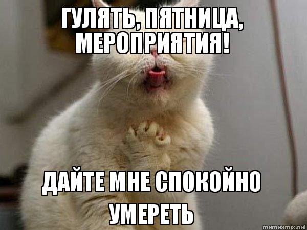 Сегодня пятница пора расслабиться