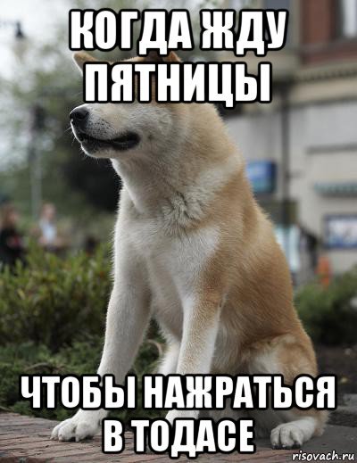 Я жду пятницу