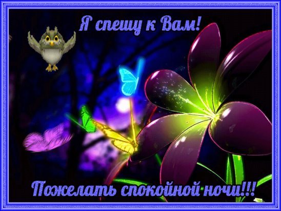 Доброго вечера и спокойной ночи