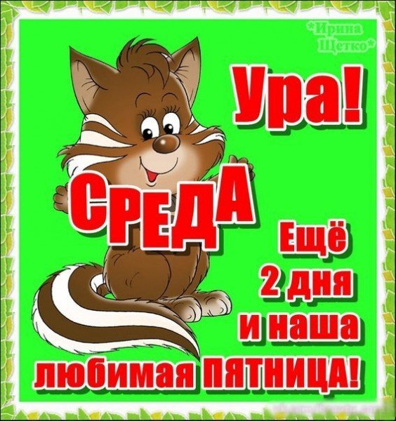 Цитаты про среду смешные