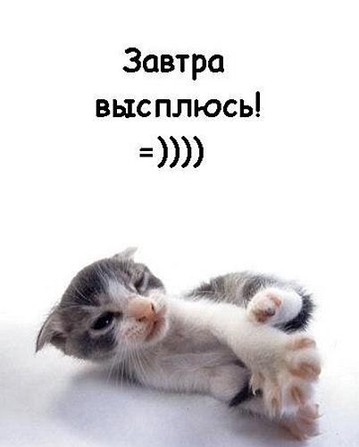 Ура завтра выходной