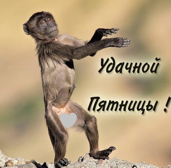 Воскресенье приколы