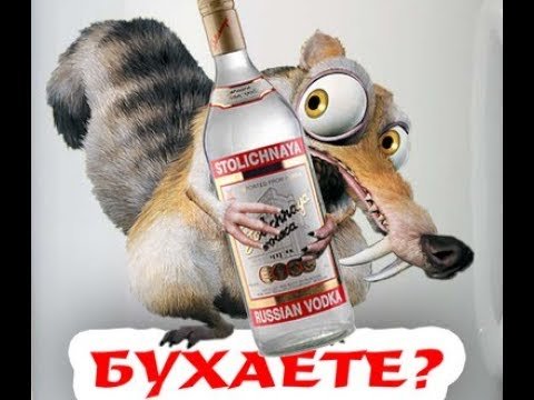 Бухаем картинки