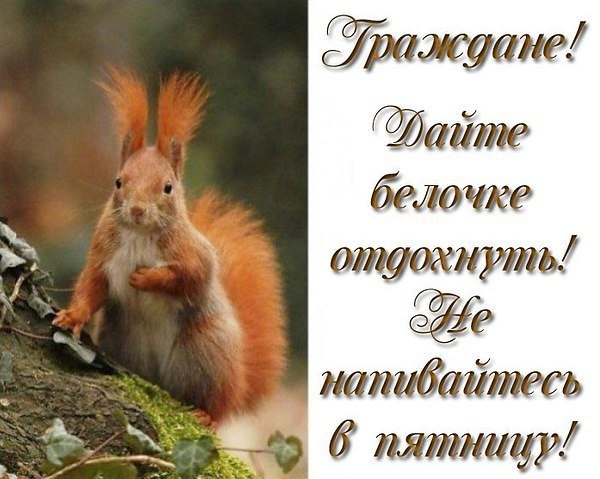 Пятница Белочка