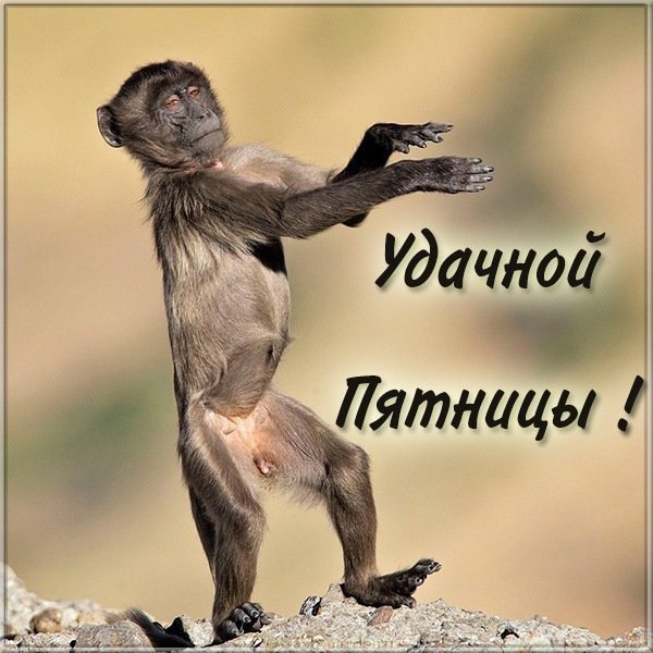 Воскресенье приколы
