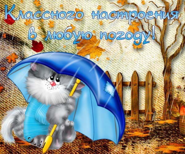 Опять дождь с надписями