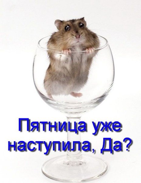 Пятница приколы